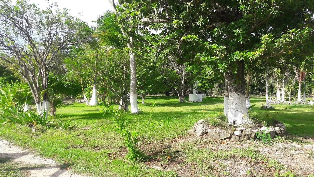 Villa Aldea Isla Sagrada Cozumel Lodge