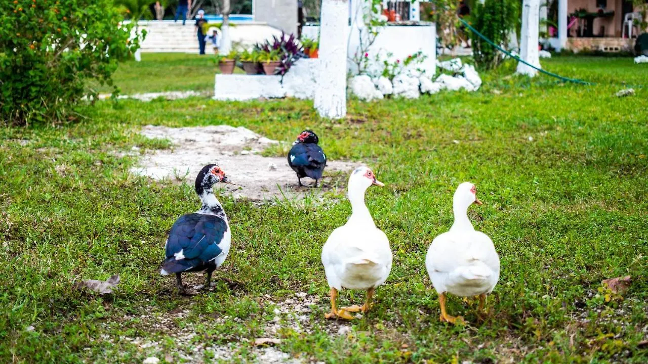 Villa Aldea Isla Sagrada Cozumel