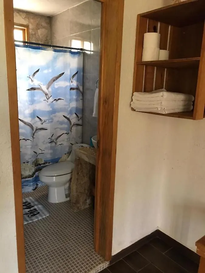 Villa Aldea Isla Sagrada Cozumel Lodge