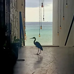  Albergue Auikyani