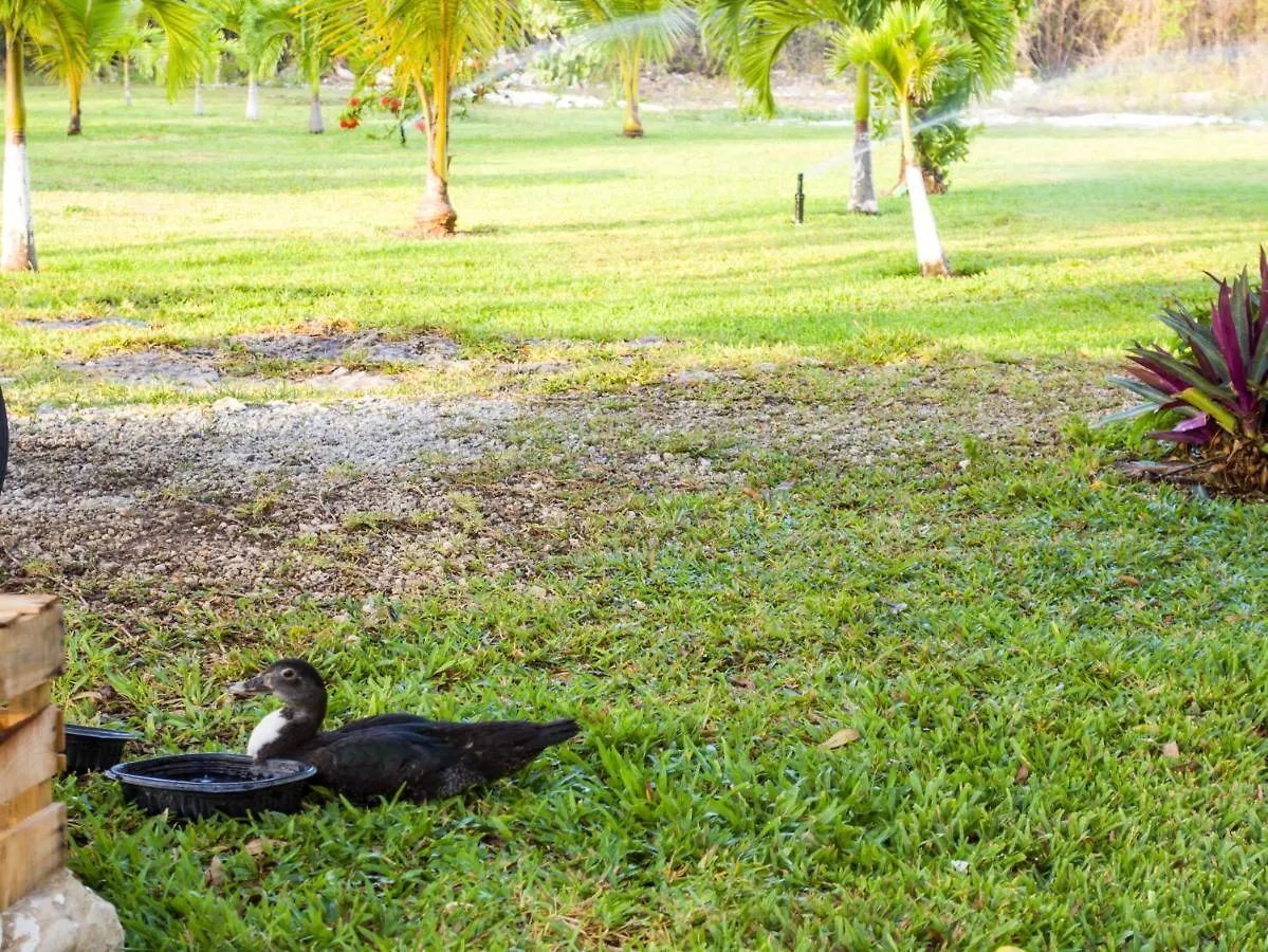 Aldea Isla Sagrada Villa Cozumel Lodge